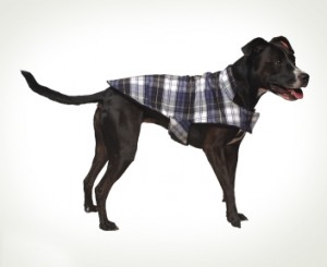 Vermont Flannel Dog Jacket