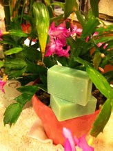 Hill's Handcrafted Soap