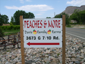 Davis Family Farms
