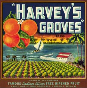 Harvey's Groves Florida Fruit