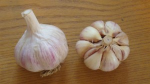 Salvere Farm Garlic