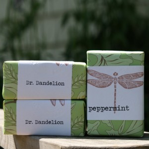 Dr. Dandelion StateGiftsUSA.com