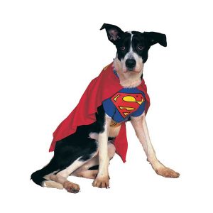 Super Dog Costume StateGiftsUSA.com