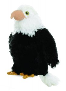 National Eagle Day StateGiftsUSA.com