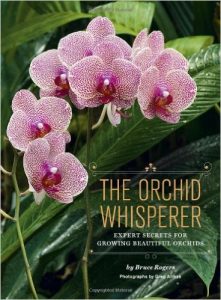 National Orchids Day StateGiftsUSA.com